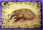 badger