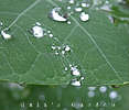 Click